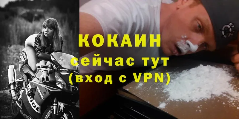 Что такое Малая Вишера Cocaine  Конопля  Меф  A PVP  Галлюциногенные грибы  ГАШ 