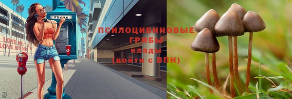 соль курить ск Новодвинск