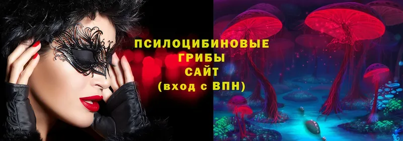 Псилоцибиновые грибы мицелий  что такое   shop какой сайт  Малая Вишера  МЕГА сайт 