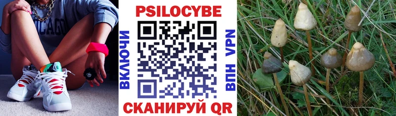 Псилоцибиновые грибы MAGIC MUSHROOMS  Малая Вишера 